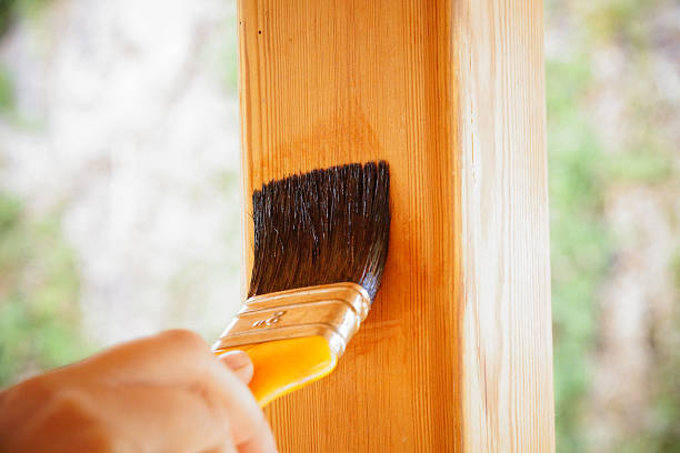 istock varnish the fence 496545594