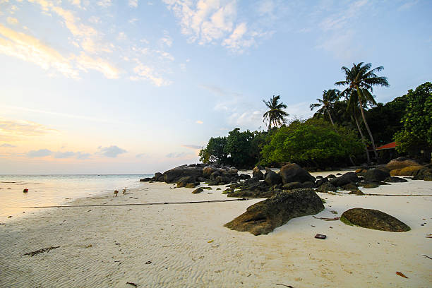 istock Lipe island, Koh Lipe, Satun province Thailand 496545714