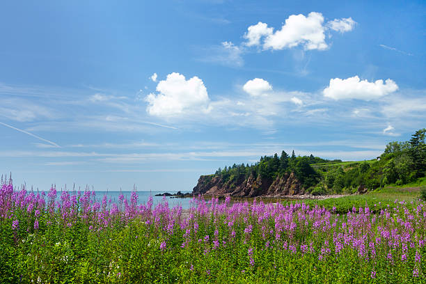 Coastal beauty of New Brunswick province in Canada stock photo