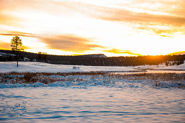 istock Winter Wonderland with Sun Beams Sunsets 496546074