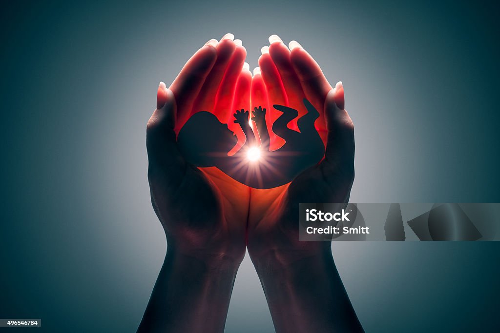 embryo embryo silhouette in woman hand 2015 Stock Photo