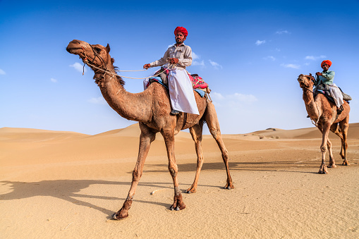 Indian men riding camels on sand dunes, Rajasthan, India