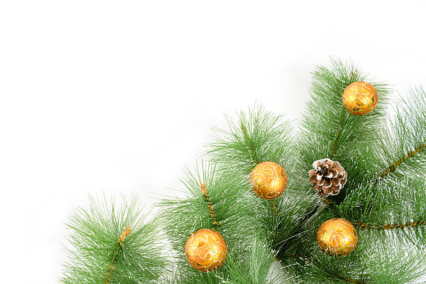 istock Christmas orange  ball and fir tree on white background. 496549192