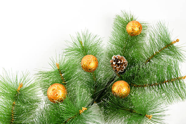 istock Christmas orange  ball and fir tree on white background. 496549228