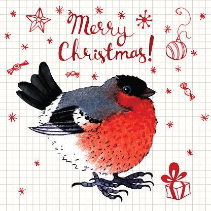 Vector watercolor  Merry Christmas greeting card with a bullfinch