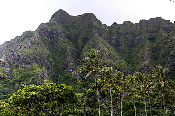 Montanhas Verdes do Havaí - foto de acervo