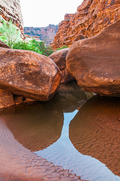 istock Pool of water - Hunter Canyon Hiking Trail Moab Utah 496559177