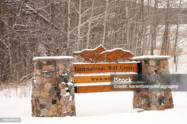 Foto de Centro Internacional De Wolf e mais fotos de stock de Ely - Minnesota - Ely - Minnesota, Minnesota, Animal selvagem