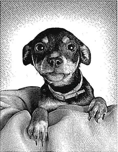 Vector illustration of Cute Puppy