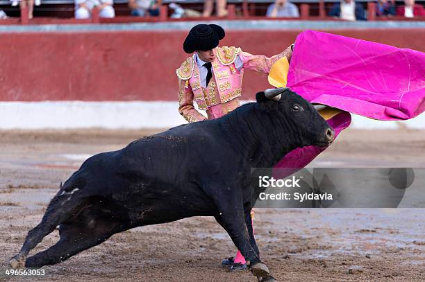 Bullfighter Stock Photo - Download Image Now - Bullfight, Bullfighter, Cape - Garment