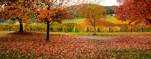 Beautiful Golden Autumn landscape