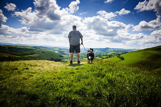 Rear view of mature man and border collie dog looking out over the Welsh countryside