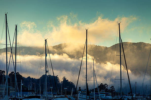 istock Marin Marina Foggy Sunset 496564247