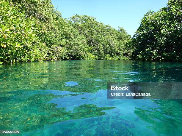 Casa Cenote In Mayan Riviera Stock Photo - Download Image Now - Cenote, Horizontal, Latin America