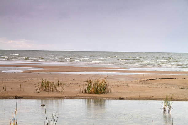 istock autumn beach of the Baltic Sea 496566207