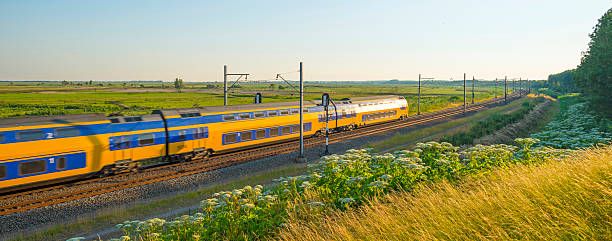 Electric train riding through nature in summer stock photo