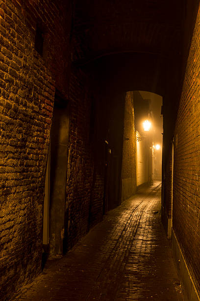 istock Dark alley during a foggy night 496571948