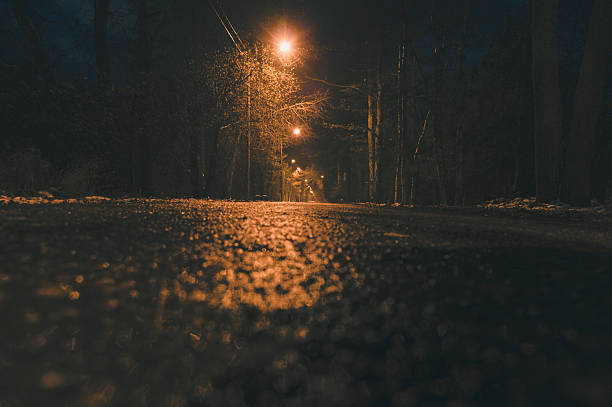 istock Empty wet asphalt road and lamppost lights at night 496572968