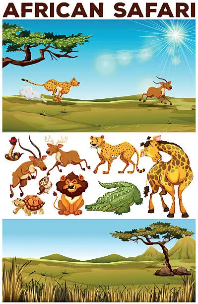 Vector illustration of Safari theme with wild animals in the field