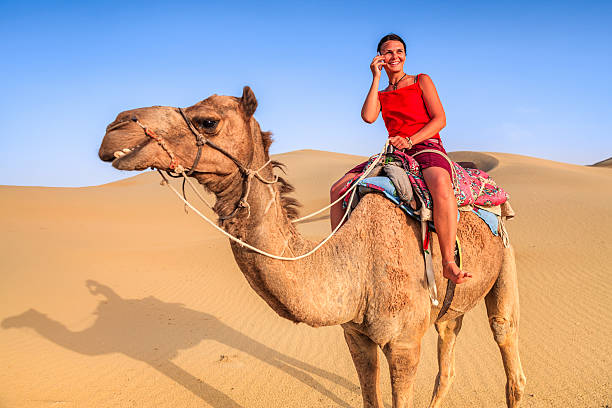 femme jeune touriste à l'aide de téléphone portable sur un chameau, rajasthan, inde - bride women standing beauty in nature photos et images de collection