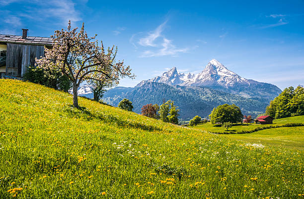 idyllische landschaft der alpen mit mountain weiden im frühjahr - european alps germany landscaped spring stock-fotos und bilder