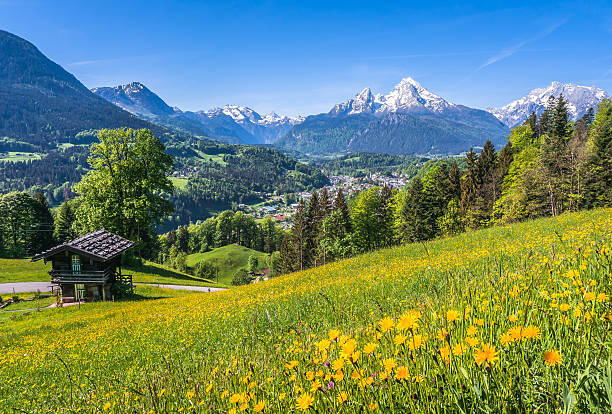 istock Idyllic landscape in the Alps with mountain chalet in springtime 496578442