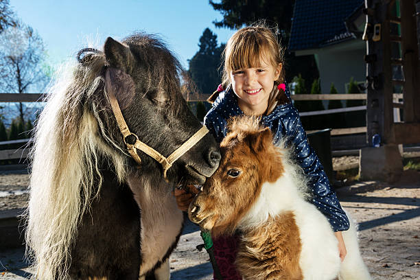 소녀만 자신의 포니 애완동물-마레 및 망아지 - foal child mare horse 뉴스 사진 이미지