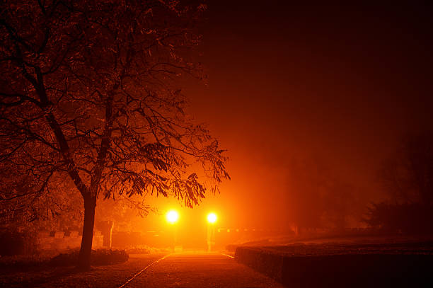 istock Mysterious empty footpath in morning mist in red orange tone 496582514