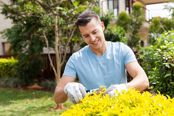 istock young man pruning plant at home garden 496583068