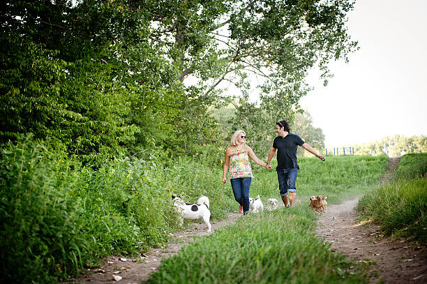 istock Young couple with dogs 496583189