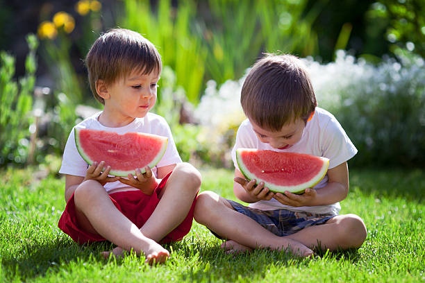 istock Two boys, eating watermelon in the garden, summertime 496584043