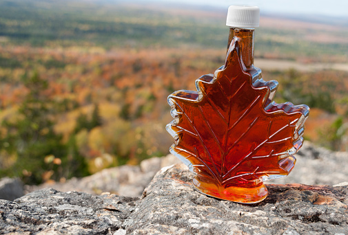 A bottle of maple syrup in a maple-leaf shaped bottle with New England fall foliage in background.