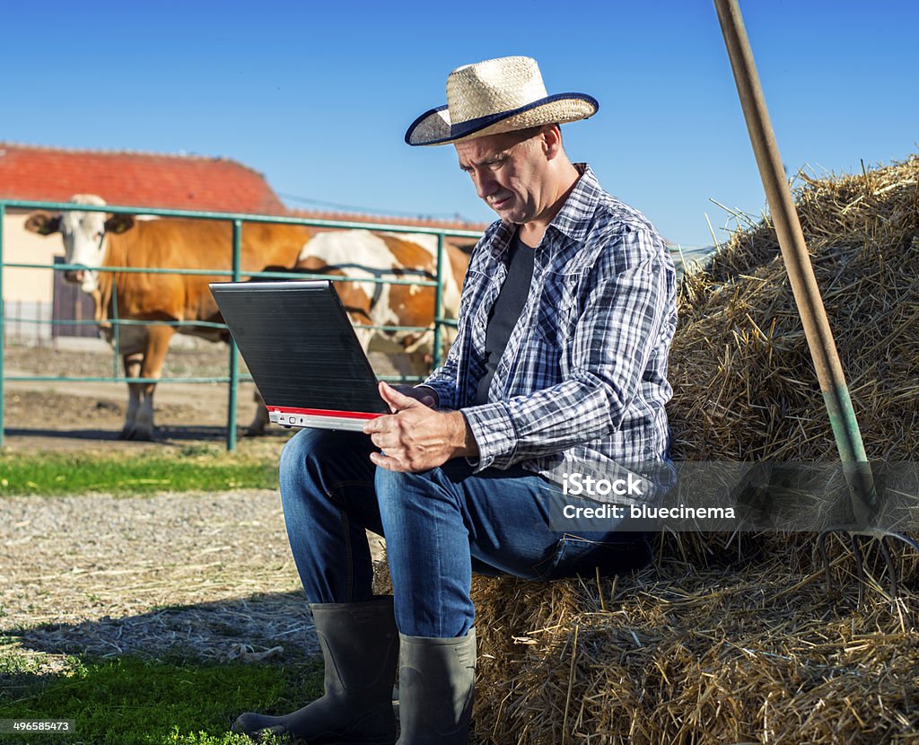 Farmer de planificación - Foto de stock de Casa rural libre de derechos