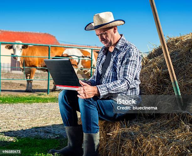 Farmer De Planificación Foto de stock y más banco de imágenes de Casa rural - Casa rural, Ganado domesticado, Granja