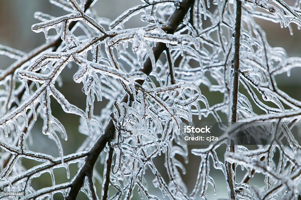 Tempestade de gelo - Royalty-free Abstrato Foto de stock