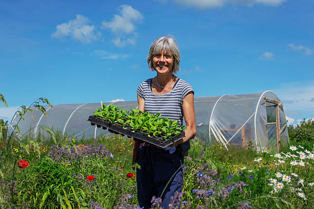 istock Commercial flower grower with seedlings 496586771