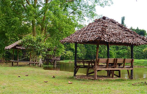 istock landscape of forest 496586897