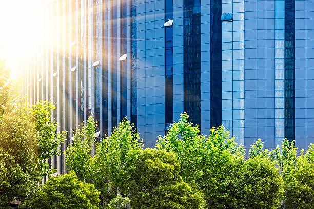 istock green of office area 496587957
