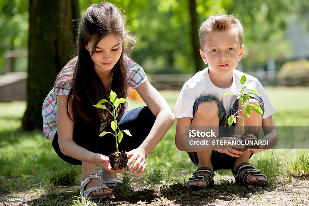 Niños de plantación - Foto de stock de Plantar libre de derechos