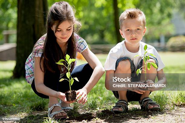 Niños De Plantación Foto de stock y más banco de imágenes de Plantar - Plantar, Árbol, Hierba - Pasto