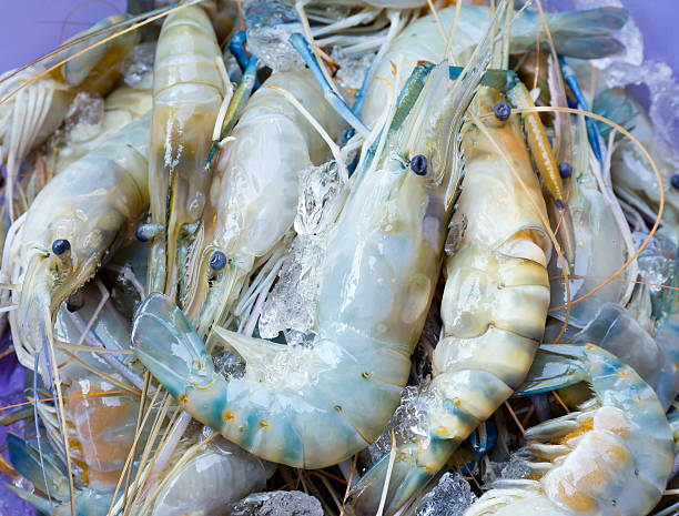 istock Fresh shrimp,Raw food 496596901