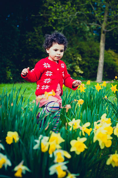 istock PEOPLE: Toddler (2-3) Walking In Field Of Daffodil. 496596933