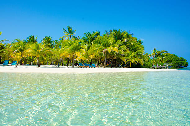 Paradise Beach on beautiful island South Water Caye - Belize