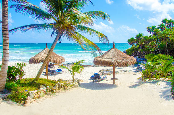 ビーチで、トゥルム - yucatan travel tropical climate mexico ストックフォトと画像