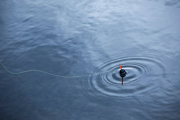 1,300+ Fishing Floats In Blue Water Stock Photos, Pictures & Royalty-Free  Images - iStock
