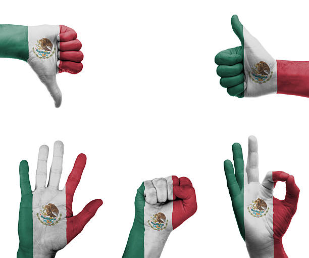 istock Hand set with the flag of Mexico 496601987