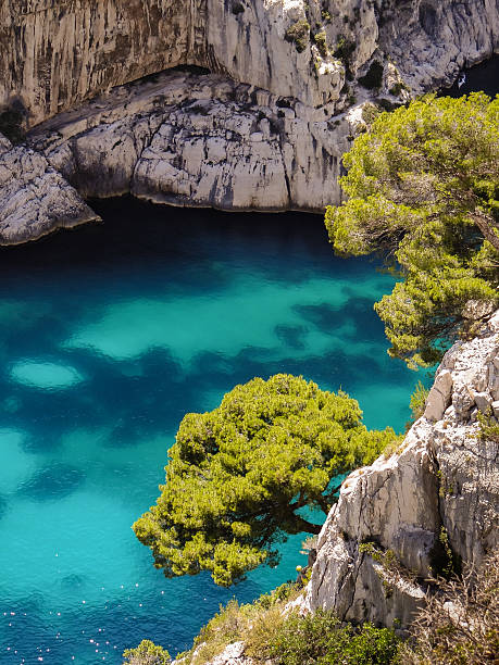 Calvia Cala Fornells turquoise mediterranean in Majorca at balearic islands of Spain