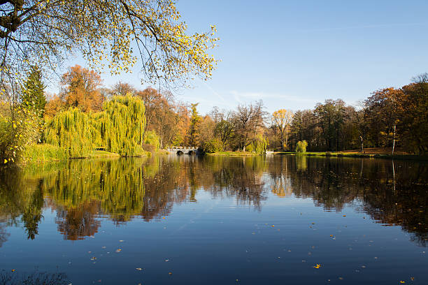 istock Autumn in the park 496603648