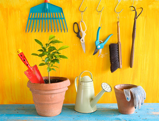 istock plant in a flower pot with gardening tools, 496604318