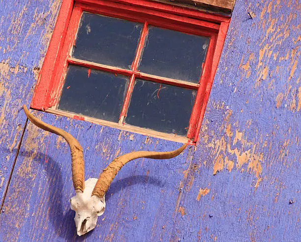 Photo of Santa Fe Style: Sheep Skull, Rustic Purple Wall, Red Window